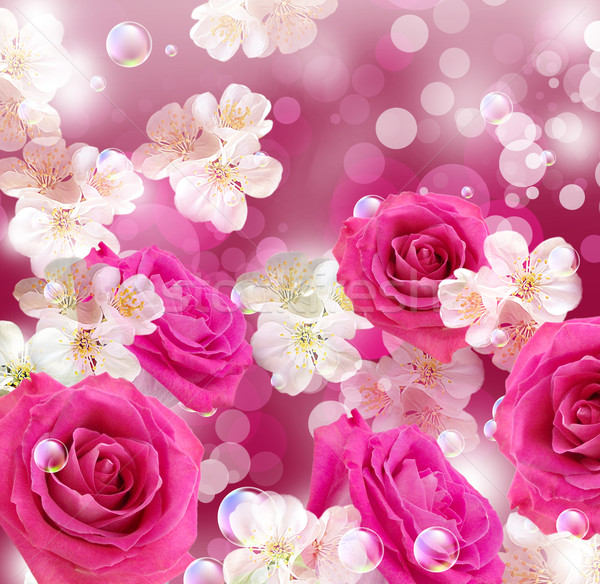 Trandafiri măr flori card roz alb Imagine de stoc © Marisha
