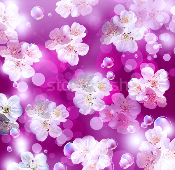 Mela fiori carta bianco viola bokeh Foto d'archivio © Marisha