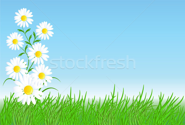 Foto stock: Grama · verde · blue · sky · flores · primavera · natureza · arte