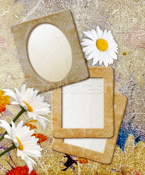 Grunge frame with daisy and paper Stock photo © Marisha
