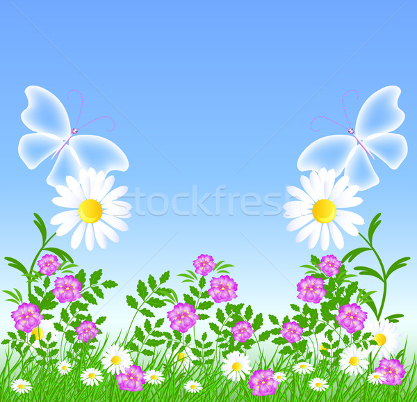 Daisies and transparent butterflies Stock photo © Marisha