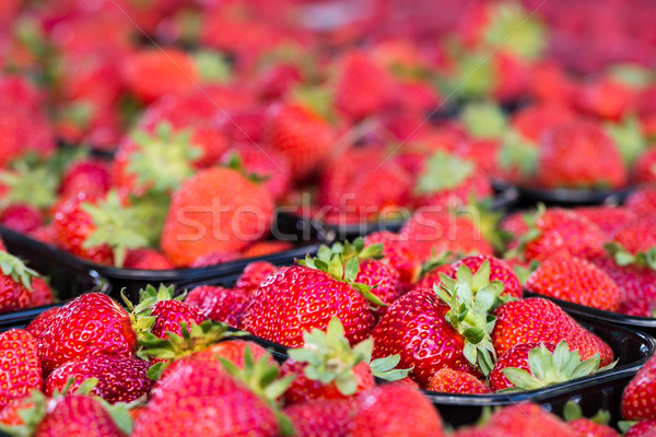 Frischen Erdbeeren Straße Markt Essen Natur Stock foto © Mariusz_Prusaczyk