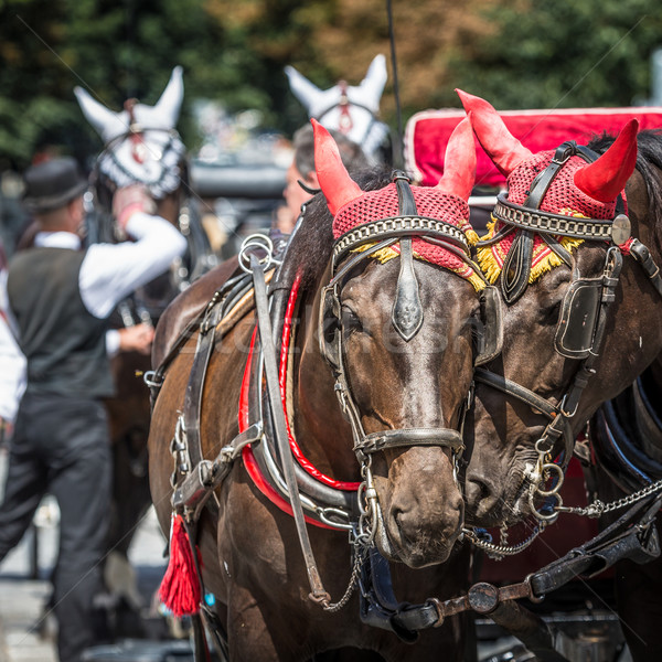 Horse Carriage waiting for tourists at the Old Square in Prague. Stock photo © Mariusz_Prusaczyk