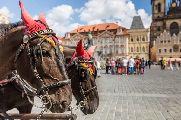 Horse Carriage waiting for tourists at the Old Square in Prague. Stock photo © Mariusz_Prusaczyk
