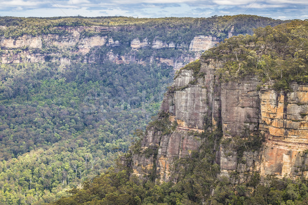 Blue Mountains in Australia  Stock photo © Mariusz_Prusaczyk