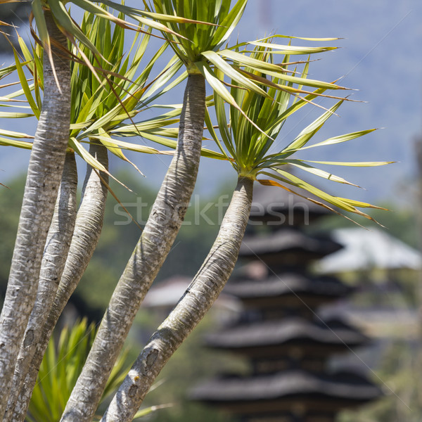 Ulun Danu temple Beratan Lake in Bali Indonesia Stock photo © Mariusz_Prusaczyk