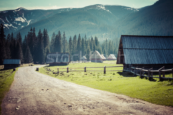 Chocholowska valley, Tatra Mountains, Poland Stock photo © Mariusz_Prusaczyk