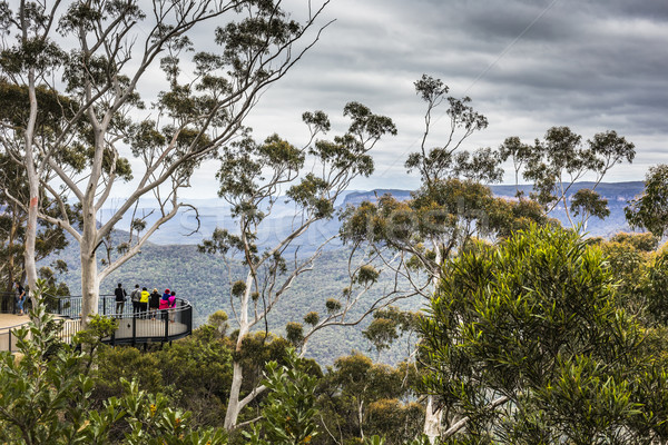 Azul montanhas Austrália céu floresta luz Foto stock © Mariusz_Prusaczyk