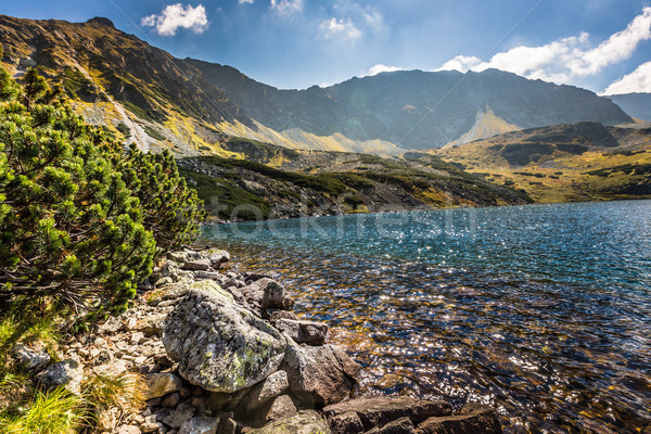 Hegy tó völgy hegyek Lengyelország fű Stock fotó © Mariusz_Prusaczyk