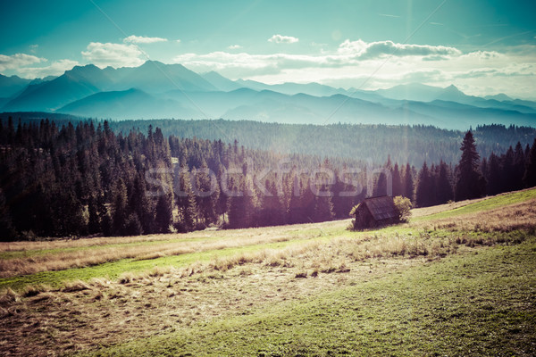 View of Tatra Mountains from hiking trail. Poland. Europe.  Stock photo © Mariusz_Prusaczyk