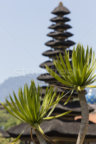 Templom tó Bali Indonézia tájkép kék Stock fotó © Mariusz_Prusaczyk