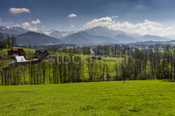 Panorama Berge Frühling Zeit Polen Gras Stock foto © Mariusz_Prusaczyk