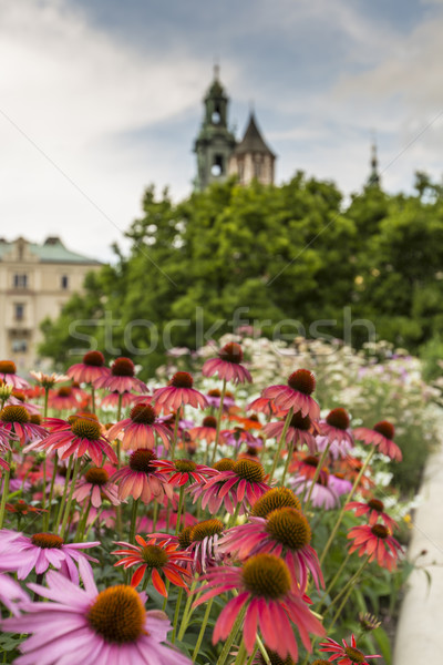 Jardim castelo Polônia grama cidade igreja Foto stock © Mariusz_Prusaczyk
