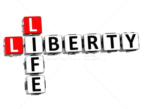 3D Social Liberty Life Crossword cube words Stock photo © Mariusz_Prusaczyk