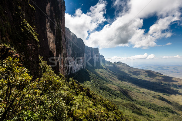 View from the plateau Roraima to Gran Sabana region - Venezuela, South America  Stock photo © Mariusz_Prusaczyk