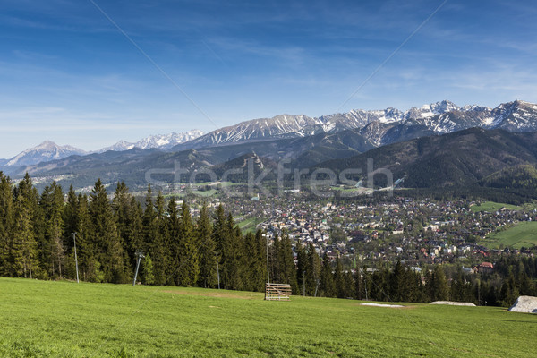 City of Zakopane and Tatras seen from the top of Gubalowka, emph Stock photo © Mariusz_Prusaczyk