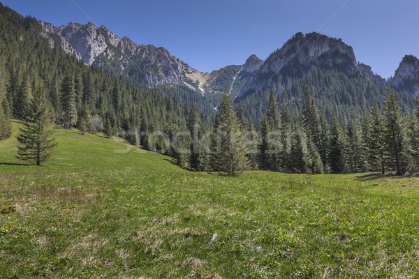 Panorama góry wiosną czasu Polska trawy Zdjęcia stock © Mariusz_Prusaczyk