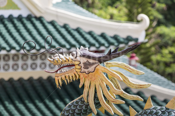 Pagoda dragón escultura templo agua naturaleza Foto stock © Mariusz_Prusaczyk