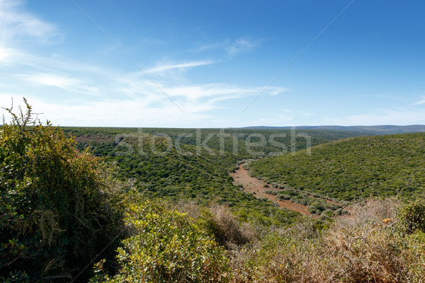 Grass Landscape with cloudy skies Stock photo © markdescande