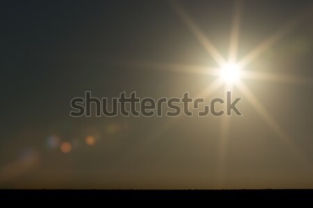 Beautiful sunset star in Addo Stock photo © markdescande