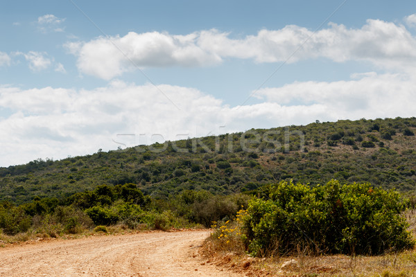 út felhők zöld domb természet utazás Stock fotó © markdescande