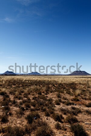 Portrait - Mountains with blue sky and yellow fields - Cradock  Stock photo © markdescande