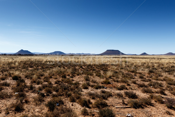 Mountains with blue sky and yellow fields - Cradock  Stock photo © markdescande