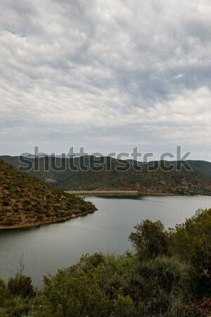 Portrait - Bush view of the dam at Calitzdorp Stock photo © markdescande