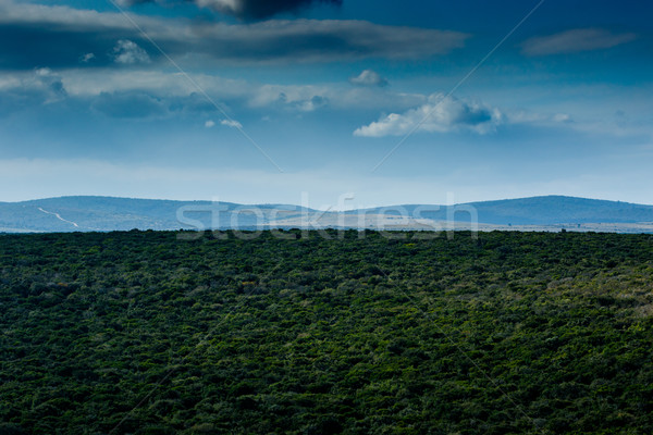 Foto stock: Belo · paisagem · verde · campo · profundo · azul