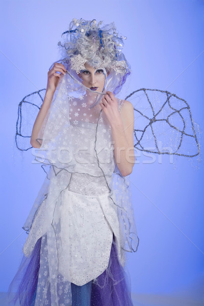 Winter Fairy Stock photo © markhayes