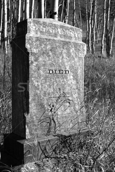 Grafsteen oude woord dood steen zwart en wit Stockfoto © markhayes