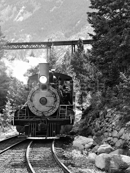 Historic Steam Locomotive Stock photo © markhayes