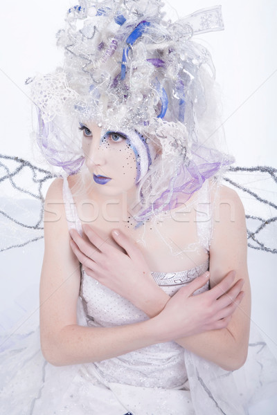 Winter Fairy Stock photo © markhayes
