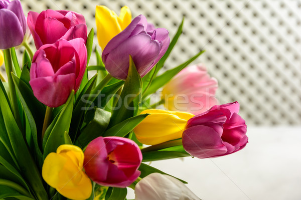 Foto stock: Buquê · tulipas · branco · belo · fundo