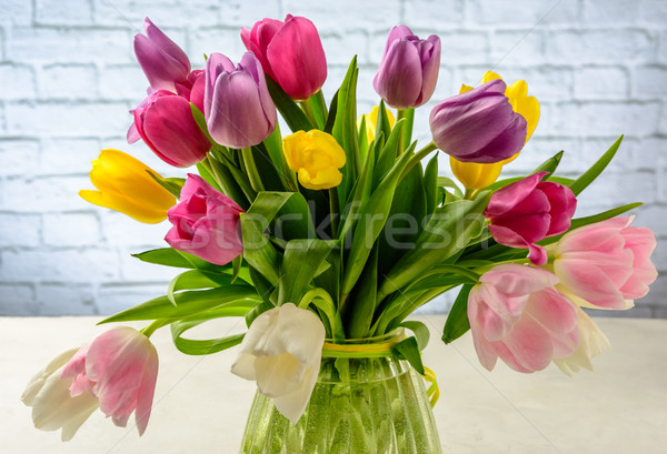 bouquet of tulips on white background Stock photo © markova64el