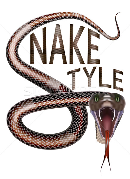 Snake style Stock photo © maros_b