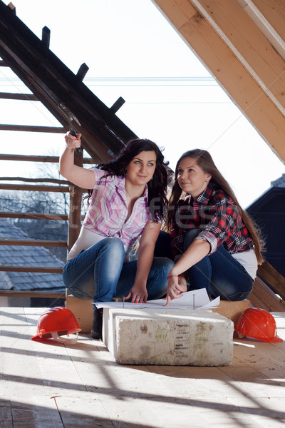 Stock photo: Two young women workers on the roof