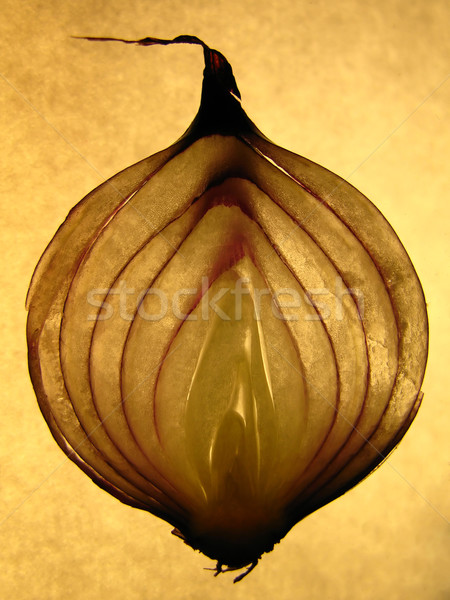 onion slice Stock photo © martin33