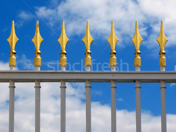 Dekoracyjny ogrodzenia projektu metal lata złota Zdjęcia stock © martin33