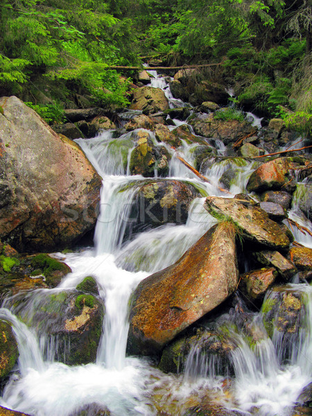 mountain torrent Stock photo © martin33