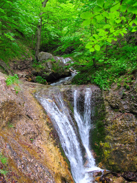 Wodospad Słowacja wody lasu charakter lata Zdjęcia stock © martin33