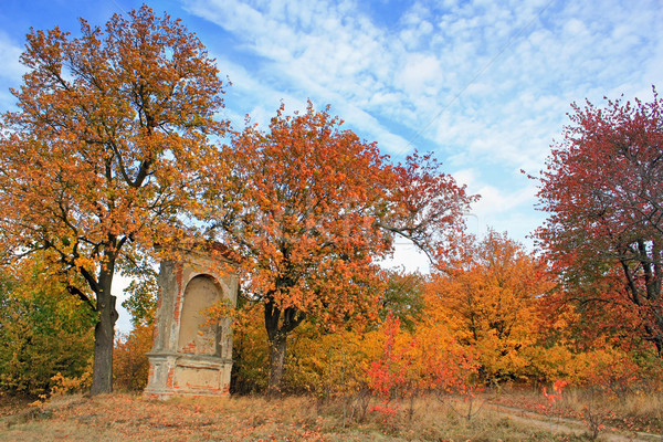 Jesienny dekoracje niebo drzewo drogowego charakter Zdjęcia stock © martin33
