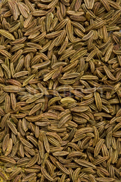 Kminek nasion tekstury nasion makro Zdjęcia stock © marylooo