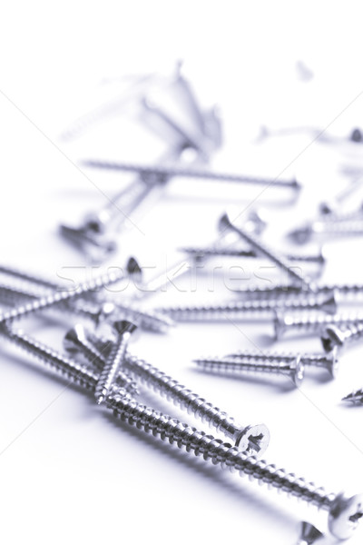 metal screws Stock photo © marylooo