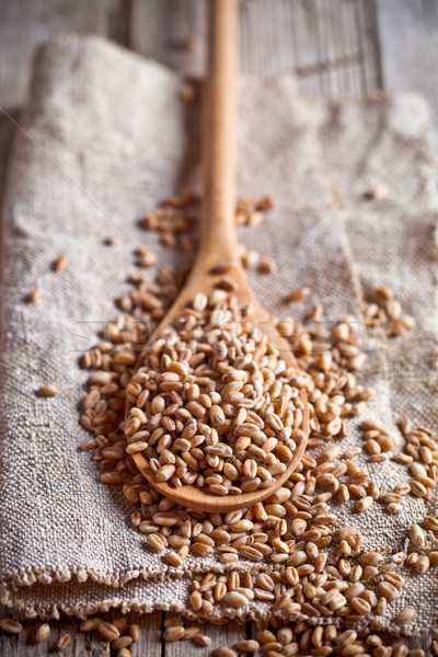 Grano grano alimentare pane agricoltura Foto d'archivio © marylooo