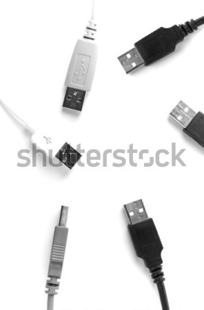 usb cable Stock photo © marylooo