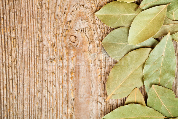 bay leaves  Stock photo © marylooo