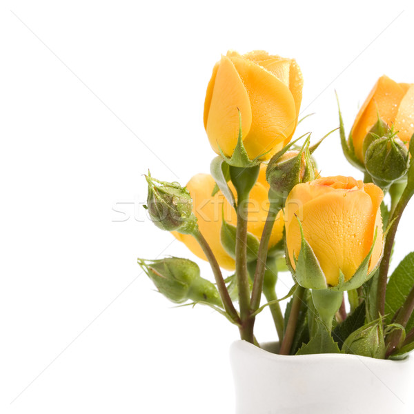 yellow flowers bouquet Stock photo © marylooo