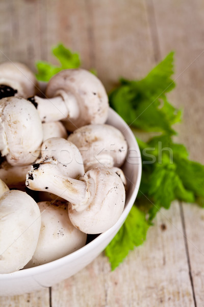  fresh champignons  Stock photo © marylooo