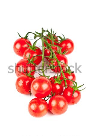fresh organic cherry tomatoes  Stock photo © marylooo